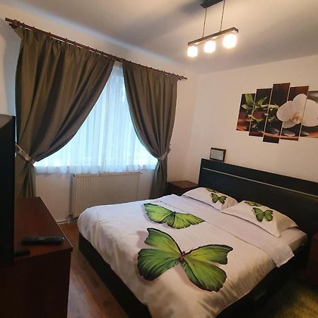 Apartament Cosbuc Baia Mare Exteriér fotografie