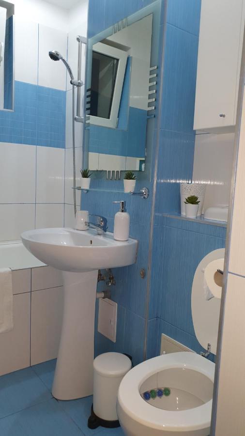 Apartament Cosbuc Baia Mare Exteriér fotografie