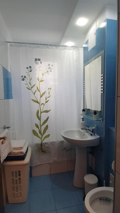 Apartament Cosbuc Baia Mare Exteriér fotografie