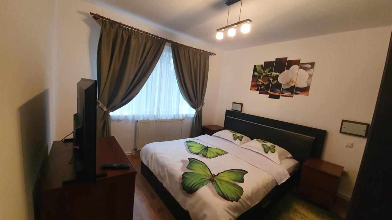 Apartament Cosbuc Baia Mare Exteriér fotografie