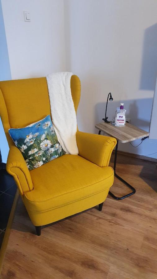 Apartament Cosbuc Baia Mare Exteriér fotografie