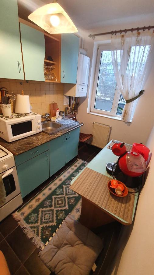 Apartament Cosbuc Baia Mare Exteriér fotografie